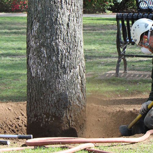 AirSpade & Aeration