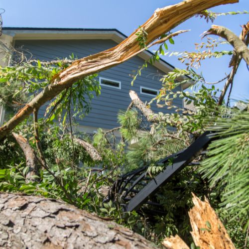 Emergency Tree Services