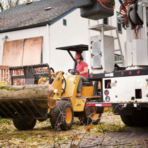 Emergency Tree Services